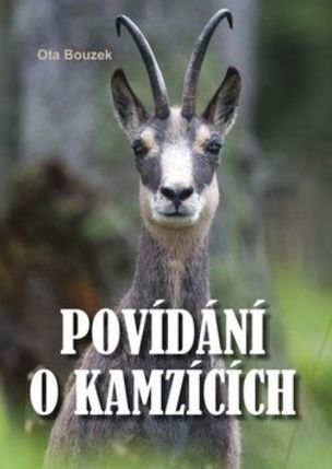 Povídání o kamzících