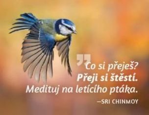 Magnet na lednici Medituj na Štěstí