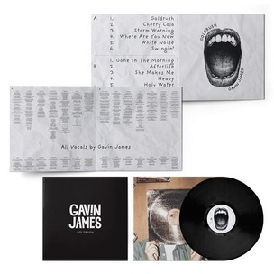 Gavin James: Goldrush (Gavin James, GAVIN JAMES LTD.