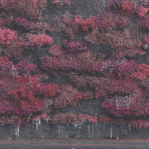 Sleep Token: Even In Arcadia