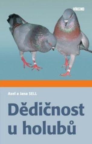 Dědičnost u holubů