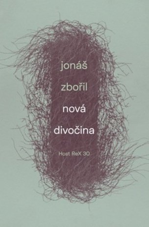 Nová divočina