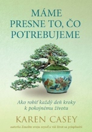Máme presne to, čo potrebujeme