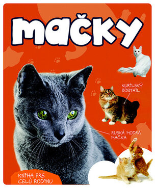 Mačky