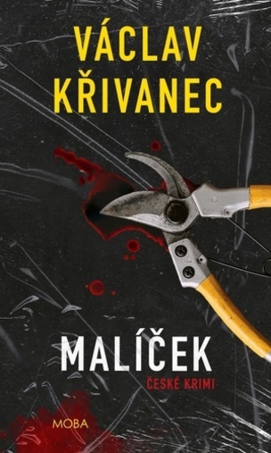 Malíček