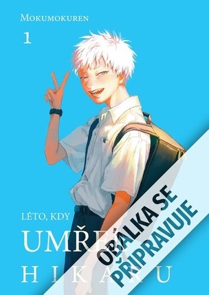 Léto, kdy umřel Hikaru