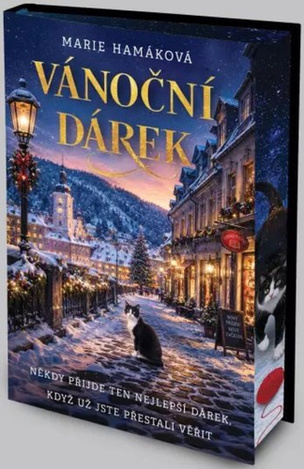 Vánoční dárek (Marie Hamáková
