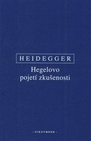 Hegelovo pojetí zkušenosti