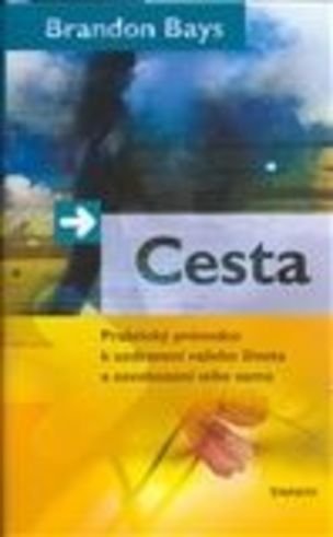 Cesta