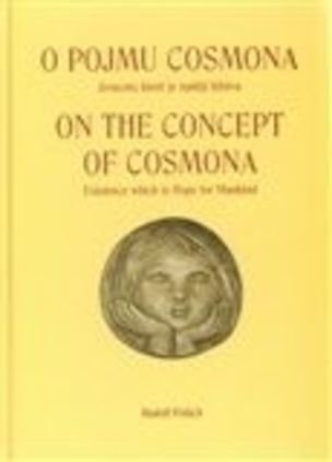 O pojmu cosmona; On the Concept od cosmona