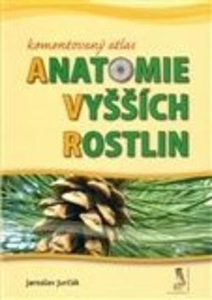 Komentovaný atlas anatomie vyšších rostlin