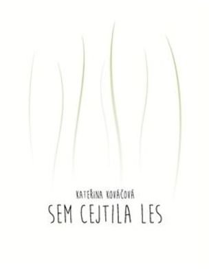 Sem cejtila les