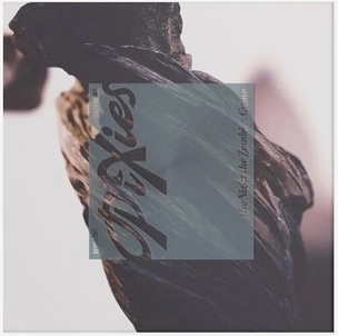 PIXIES THE NIGHT THE ZOMBIES CAME