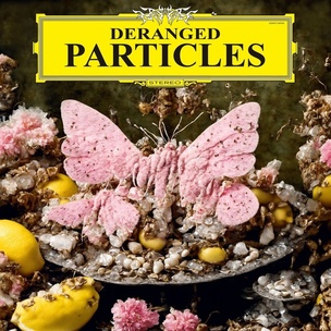 Felix Henkelhausen: Deranged Particles
