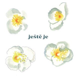 Vladimír Javorský: Ještě je LP