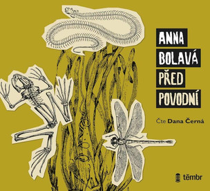 Anna Bolavá:  Před povodní / Audiokniha / Mp3-Cd
