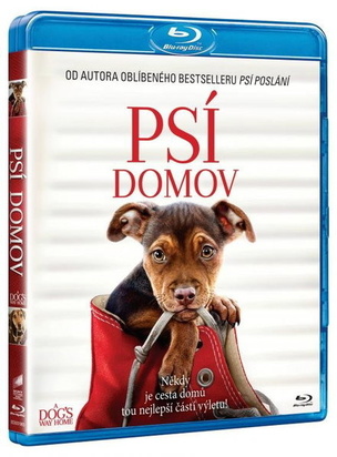 Film:  Psí Domov (Film