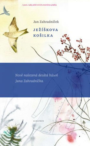 Ježíškova košilka