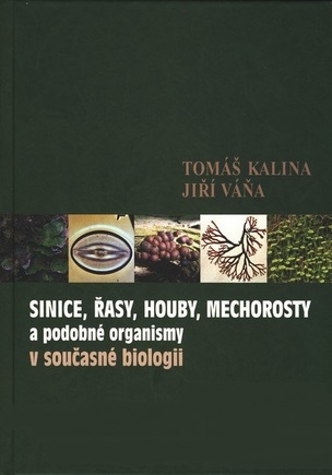 Sinice, řasy, houby, mechorosty a podobné organismy v současné biologii