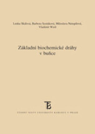 Základní biochemické dráhy v buňce