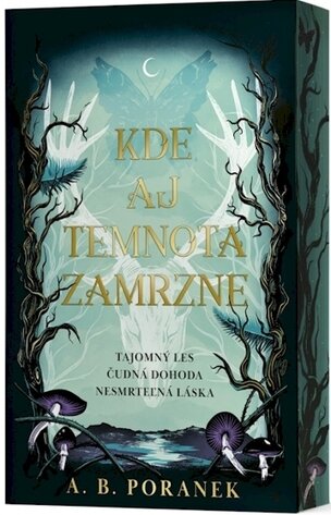 Kde aj temnota zamrzne