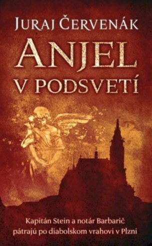 Anjel v podsvetí (Barbarič a Stein 7)
