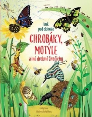 Chrobák, motýle a iné drobné  živočíchy