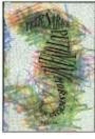 Putování mořského koně