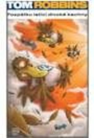 Pozpátku letící divoké kachny