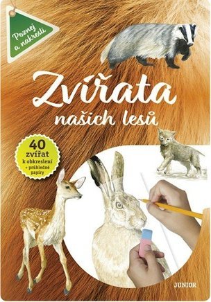 Zvířata našich lesů - Vědomosti i zábava