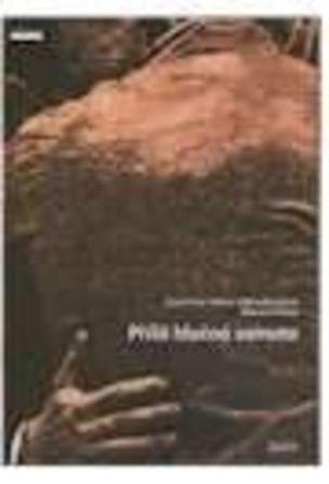 Príliš hlučná samota - komiks