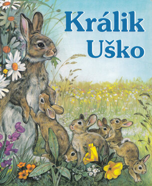 Králik Uško