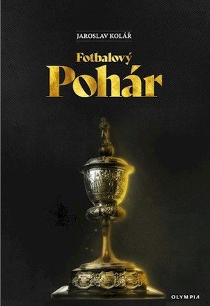 Fotbalový pohár