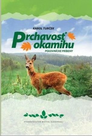 Prchavosť okamihu