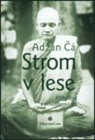 Strom v lese
