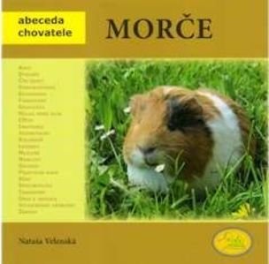 Morče