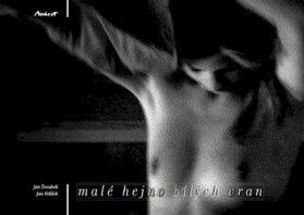 Malé hejno bílých vran