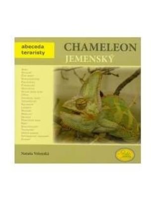 Chameleon jemenský