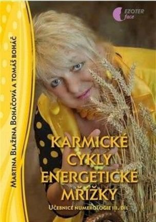 Karmické cykly energetické mřížky
