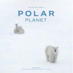 Polar Planet