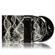 Coroner:  Dissonance Theory