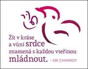 Magnet na lednici 