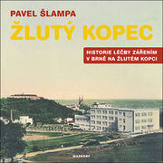 Žlutý kopec
