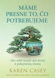 Máme presne to, čo potrebujeme