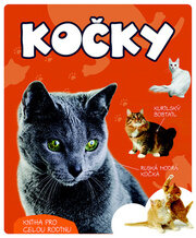 Kočky