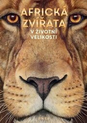Africká zvířata: V životní velikosti