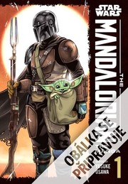 Star Wars Mandalorian 1