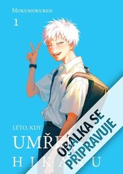 Léto, kdy umřel Hikaru