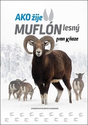 Ako žije muflón lesný