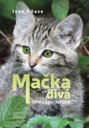 Mačka divá – lovec špecialista